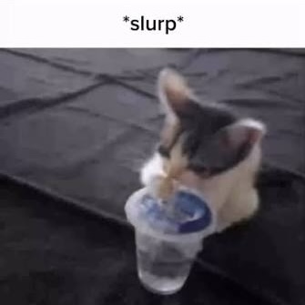SLURPCAT